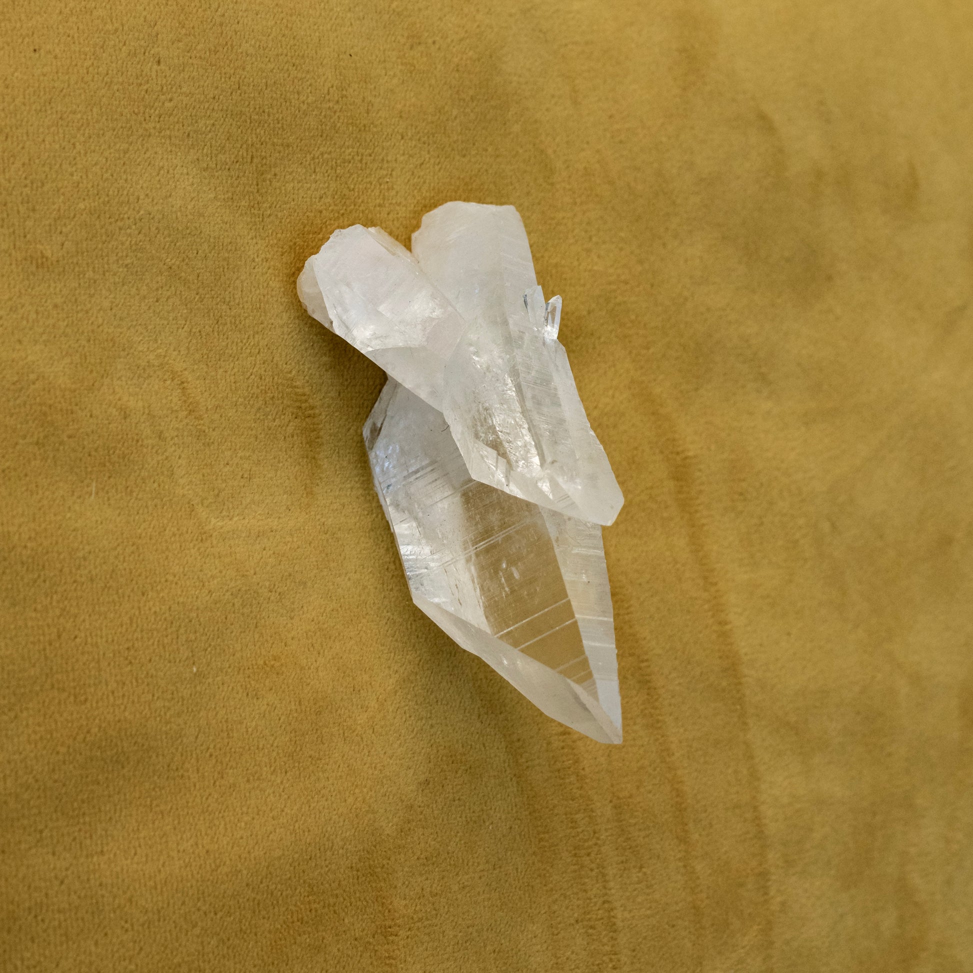 Slanted Lemurian Quartz - Smith & Sun