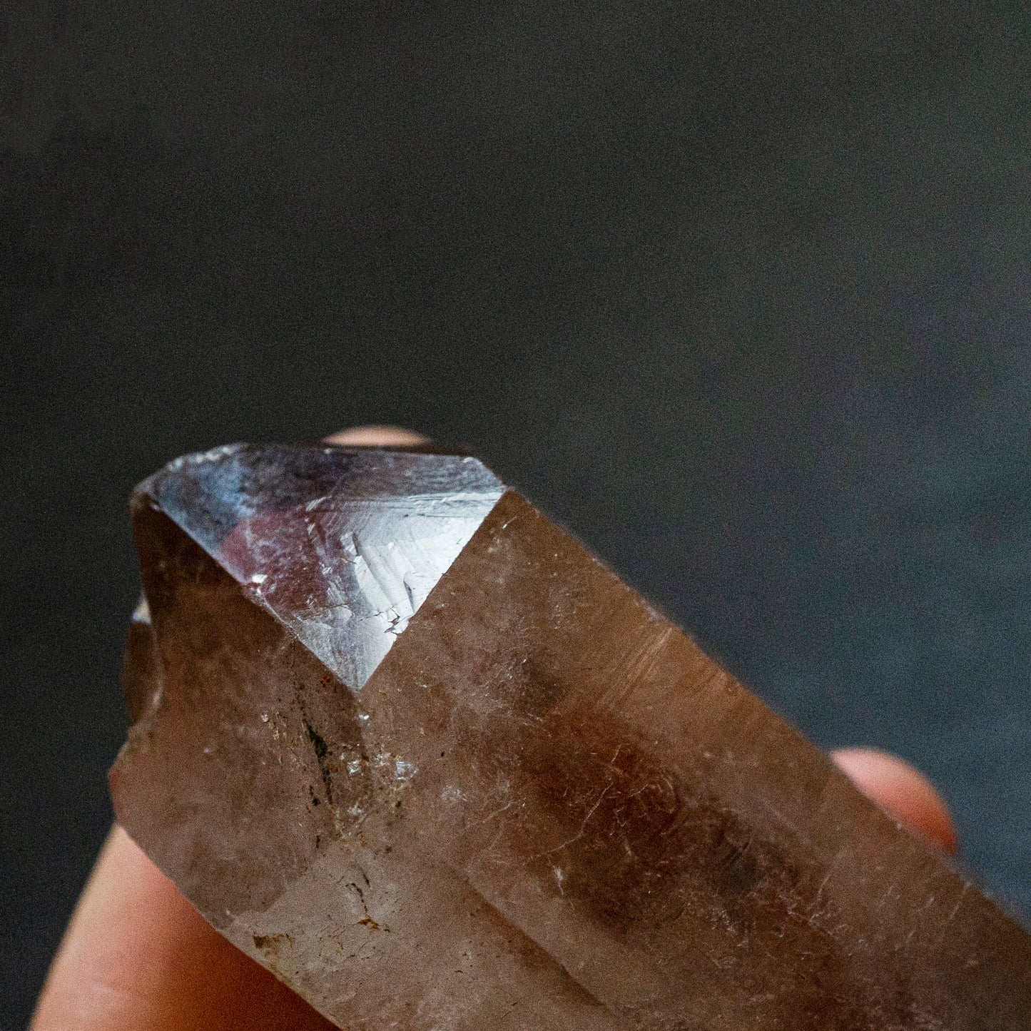 Double terminated, Starbrary Smoky Quartz - Smith & Sun