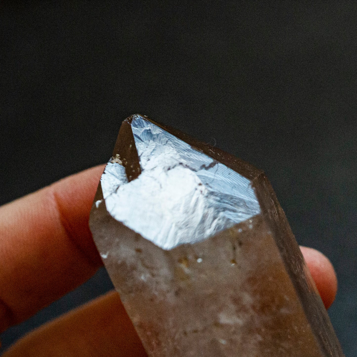 Double terminated, Starbrary Smoky Quartz - Smith & Sun