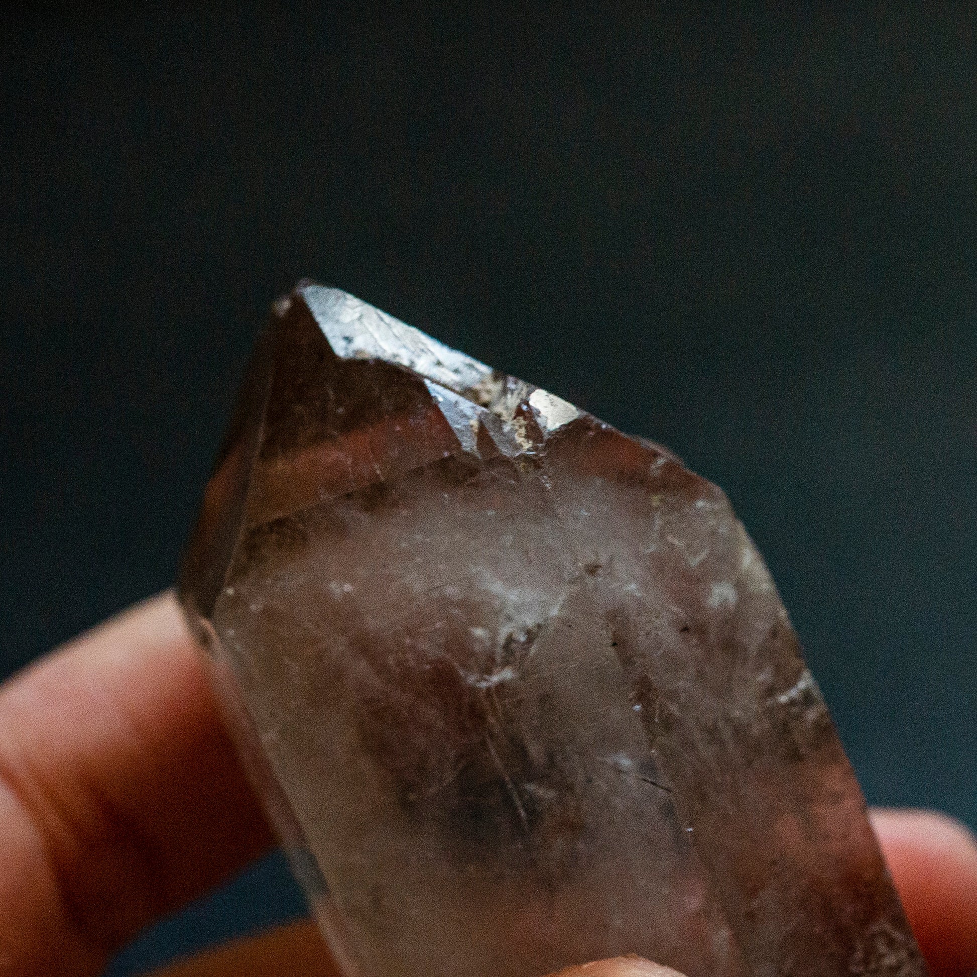 Double terminated, Starbrary Smoky Quartz - Smith & Sun