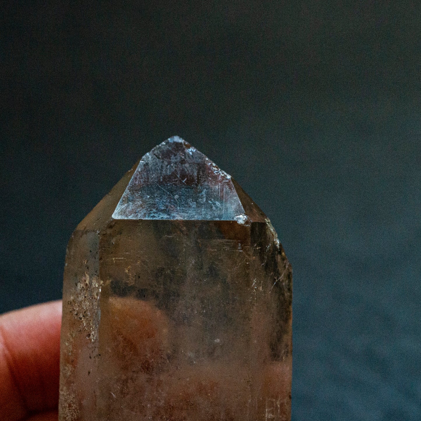 Double terminated, Starbrary Smoky Quartz - Smith & Sun