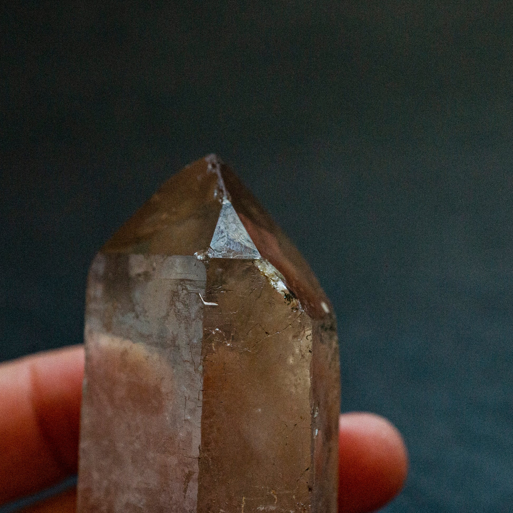 Double terminated, Starbrary Smoky Quartz - Smith & Sun