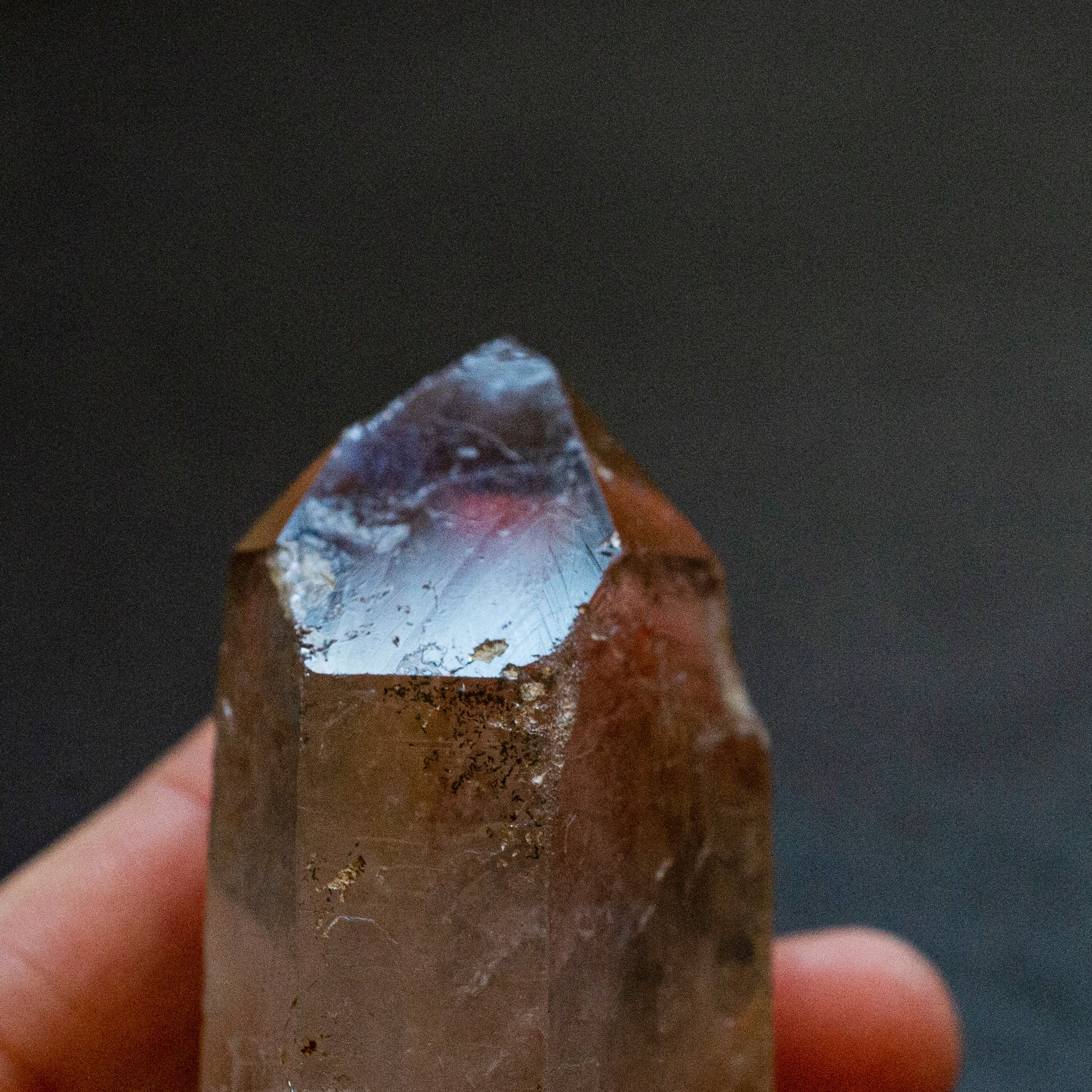 Double terminated, Starbrary Smoky Quartz - Smith & Sun