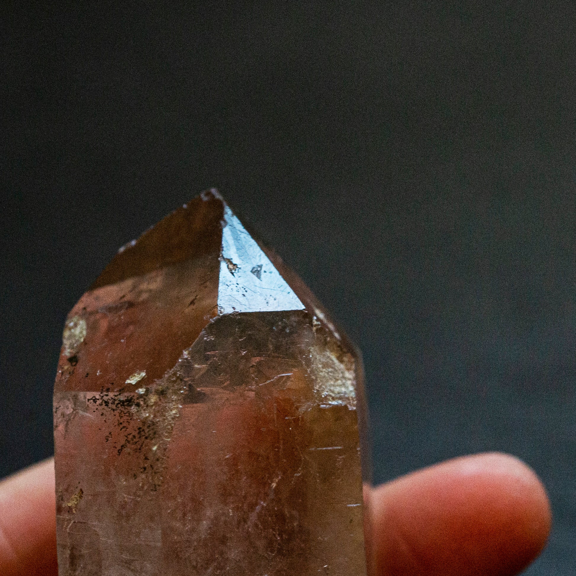 Double terminated, Starbrary Smoky Quartz - Smith & Sun