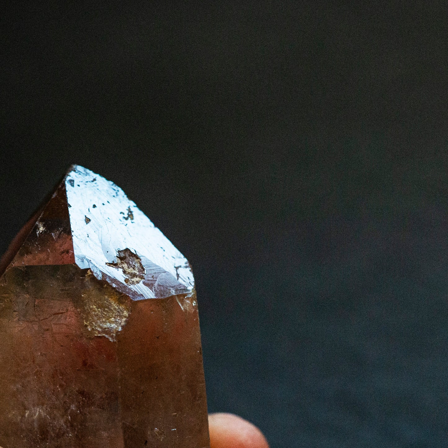 Double terminated, Starbrary Smoky Quartz - Smith & Sun